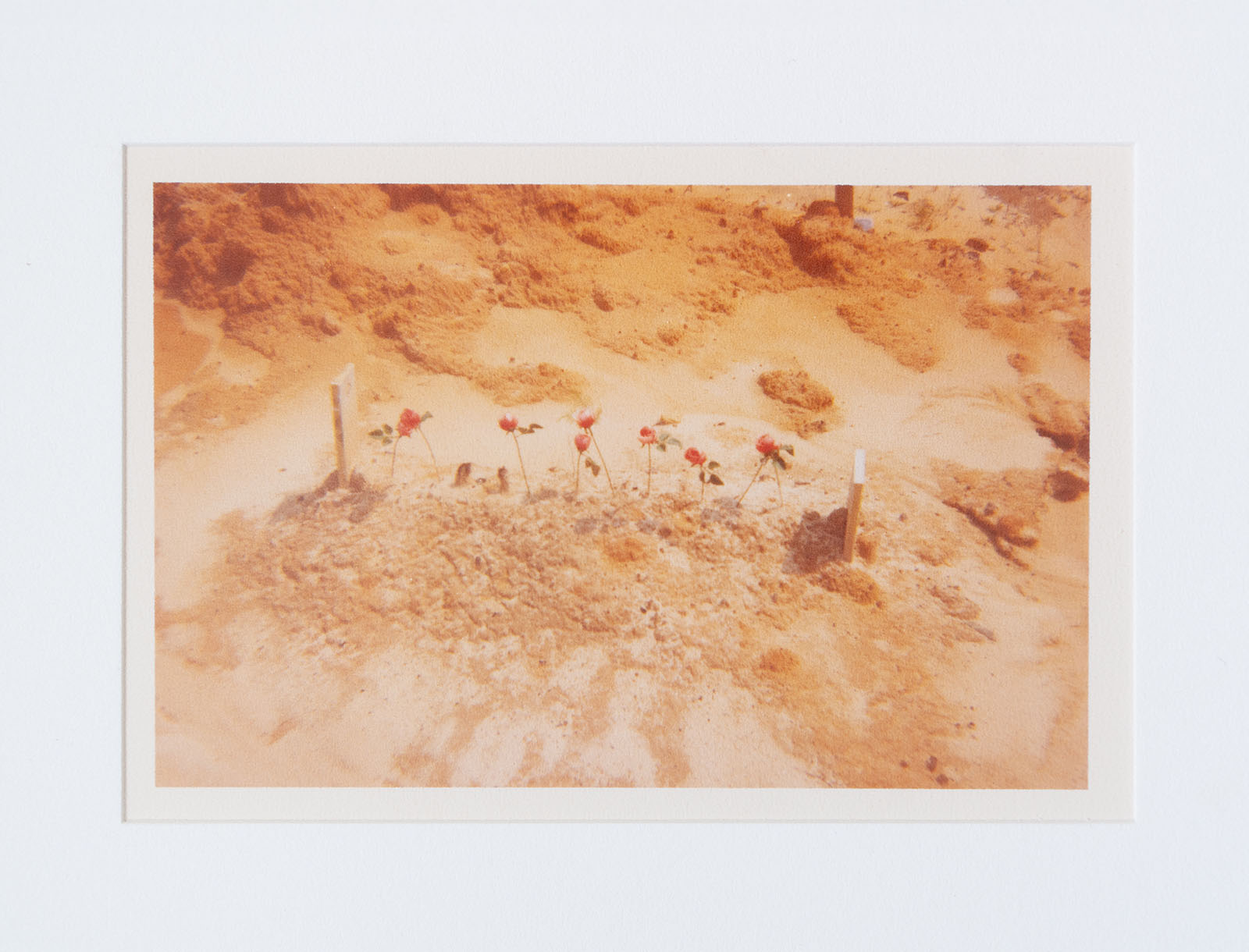 William Christenberry, Untitled (Child’s Grave with Rosebuds), Hale County, AL, 1975